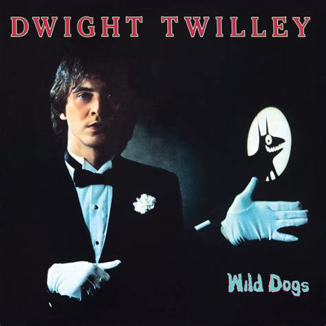 The Mystical Themes in Dwight Twilley's Songwriting